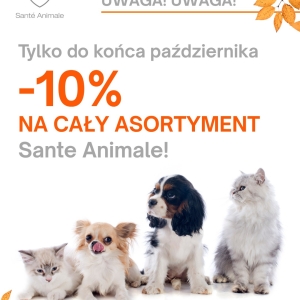 Zdjęcie WhatsApp 2025-10-27 o 17.36.05_f8d11338_6900a87f6970a7_41396747.jpg